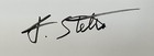 Frame Ready - Hand Signed Frank Stella Offset  Lithograph - Matted - 20x16 Inch