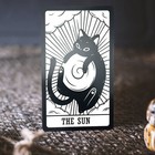 Kitten Tarot 78 Cards Brand New 