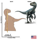 Blue The Velociraptor Jurassic World Cardboard Cutout Standup Standee Dinosaur