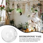 Glass Vase Minimalist Small Hanging Flower Pots Wall Mount Plant