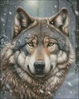 Winter Wolf 2 - Diy Chart Counted Cross Stitch Patterns Needlework Dmc Color