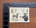 Great Dane With Brindle Pattern Playing In The Snow Original Vintage Photo