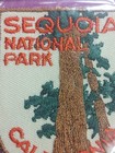 Vintage Voyager California Sequoia National Park Forest Patch New Iron On sew
