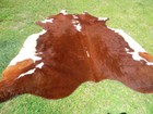 Big   New Hereford Brown Cowhide Rug Natural Cowhides Cow Hide Skin 6x6 Feet Whr