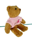 Avon Breast Cancer Crusade Plush Teddy Bear Awareness Ribbon 2001 Beanbag 6 5 