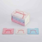 Mana Moon Amanda Lapalme Pokemon Sylveon Sylvewomon Dicewinder Deck Box