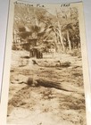 Rare Antique Vintage Alligators On Anastasia Island Florida Snapshot Photo  Fl 