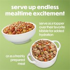 12 Pack  Purina Beneful Dog Food Freshly Prepared Meals  Dog Food Fresh  High P
