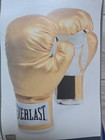 Everlast 12 Oz Wrist Strap Training Boxing Gloves Gold   White Brand New Bag