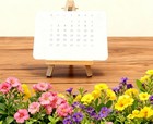 Eco-friendly Plantable Seed Calendar 2026 Gardening   Green Living Planner
