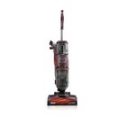 Shark Carpetxpert Upright Deep Carpet Cleaner With Built-in Spot   Stain Elimina