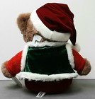 Walmart Teddy Bear Snowflake Teddy Boy 2006 Dan Dee Brown Bear
