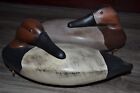   Canvasback Decoy Pair - Hen   Drake   Sleepers   Maryland s Eastern Shore  