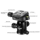 Zomei Q666 Camera Tripod Momopod 62  Light Weight Dslr Tripod With Ball Head