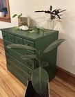 Green Dresser 
