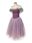 Ballet Skirt Performance Clothing Purple Tutu Dress Dance Long Gauze Skirt