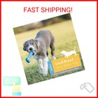 Kong Puppy Goodie Bone Dog Toy  Medium  Color Varies