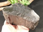 Perfect Bark  Petrified Wood Fossil 100  Natural Colorado Plateau Utah 1282gr