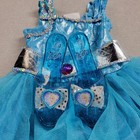 Disney Princess Frozen Elsa Dress And Shoes Set One Size Ages 3  Play