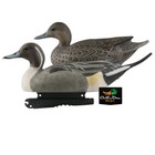Avery Outdoors Ghg Hunter Series Life-size Pintail Duck Decoys - 1 2 Dozen