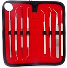 Dental Tools Set Dentist Teeth Kit Oral Clean Probe Stainless Steel Picks German