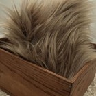Tan Faux Fur Baby Photo Prop Newborn Nest Photography Blanket Free Shipping   