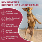 Hip   Joint Supplement For Dogs  Glucosamine For Dogs With Msm  Chondroitin  Ome