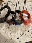 Dogtra Pathfinder Mini Set With Remote And Charger And 4 Collars Barley Used