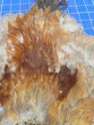 Bl87 Rooster Chicken Feathers Body Pelt Skin