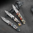 Pocket Knife Folding Knife Tactical Spring Assisted Open Blade Hunting Knife-3x