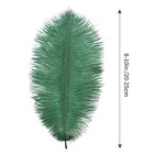 Blackish Green Ostrich Feathers 12pcs Natural Bulk 8-10inch 20cm-25cm For Cra   