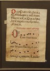 Xxl 16th Century Illuminated Vellum Latin Prayer Sheet Music Page
