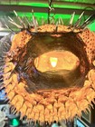 New Giant 24    Real Puffer Fish Lamp W  Yellow Led Smokin Tikis Oceanic