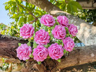 Beautiful Artificial Mulberry Paper Heart Petals Mini Roses Flowers Wedding Embe