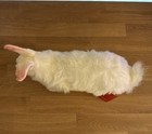 Fao Schwarz White Rabbit Plush Stuffed Animal 2001 Hansa Collectible Nwt Htf