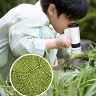 Children s Handheld Microscope Hd Portable Science Experiment Toy With Led Light