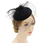 Wheebo Fascinator Hat Flower Feather Mesh Veil Wedding Tea Party Cocktail Hat   