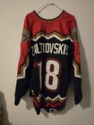 Tacoma Sabercats Game Used   Worn Hockey Jersey  Wchl  Taylor Cup Finals 
