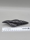 Graphite Shell Art Object Or Pencil By Agelio Batle 2006 Euc 