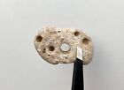 Natural Holey Beach Rock Hag Stone Adder Fairy Wish Amulet Mystical Magic  b Usa