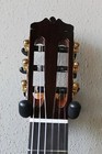 Brand New Cordoba C10 Cedar Top Classical Guitar