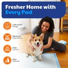 American Kennel Club Xl Scented Puppy Training Pads 28x30 50 Count Absorbent