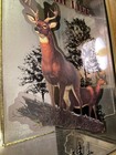 Vintage Miller High Life Beer Mirror White Tailed Buck Deer First Printing