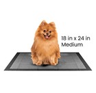 100 Pcs Charcoal Puppy Pads Ultra-absorbent Pet Training Pads For Dogs - Medium