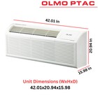 Olmo 9 000 Btu Smart Ptac Ac W  Heat Strip 230v Pthp Heating   Cooling W  Remote
