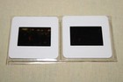 Daylight - 2 Press Kit Slides Sylvester Stallone Viggo Mortensen Amy Brenneman
