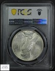 1926 S Peace Silver Dollar  1 Pcgs Ms 64