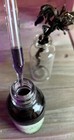 Indian Pipe Ghost Plant Tincture W whole Flower In Bottle 1 Oz Drops Monotropa