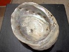 Vintage Mother Of Pearl Large Abalone Sea Shell Elegant Bowl Jewelry Dish
