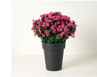 Wicker Park 24  Jumbo Potted Faux Mums Indoor Outdoor Fall Decor 4 Colors
